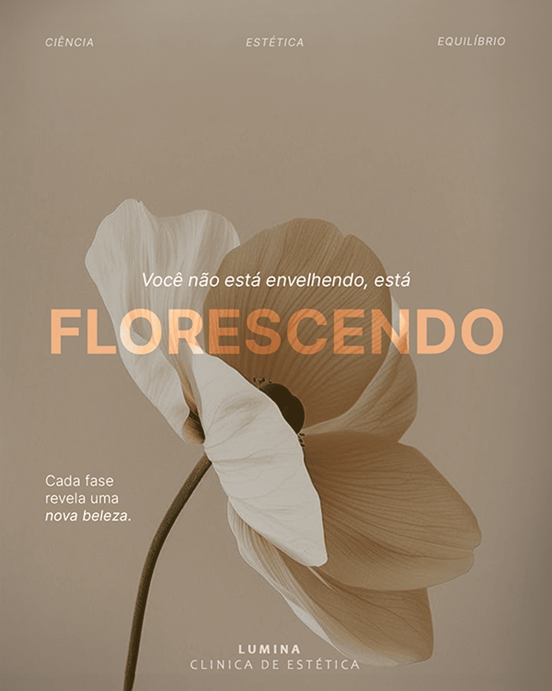 design rede social beleza e estetica